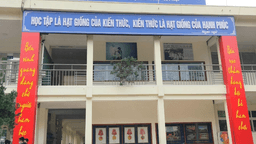 Trường Tiểu học Phan Chu Trinh với kì thi Toán và Khoa học Châu Á năm 2020