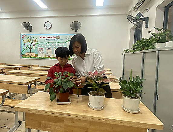 “Tết trồng cây” của học sinh lớp 4D  Trường Tiểu học Phan Chu Trinh